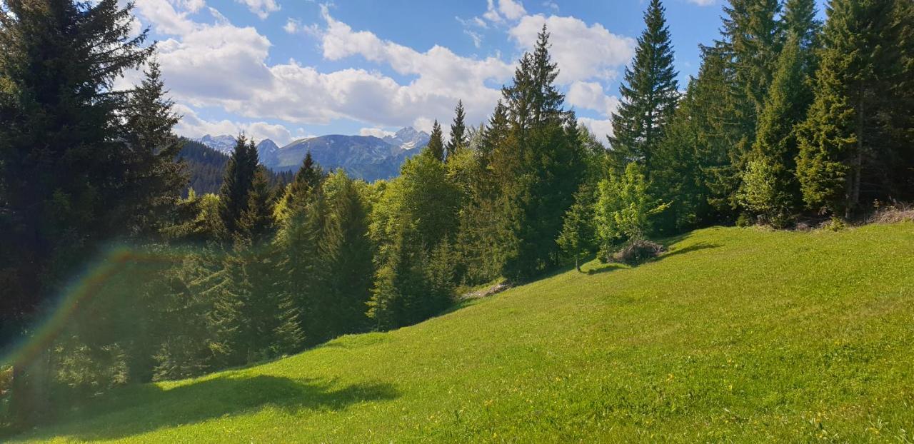 Srednja Vas v Bohinju Mountain Eco Chalet Konjska Dolina On 1400 M Asl -Near Pokljuka מראה חיצוני תמונה