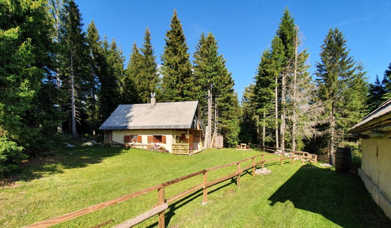 Srednja Vas v Bohinju Mountain Eco Chalet Konjska Dolina On 1400 M Asl -Near Pokljuka מראה חיצוני תמונה
