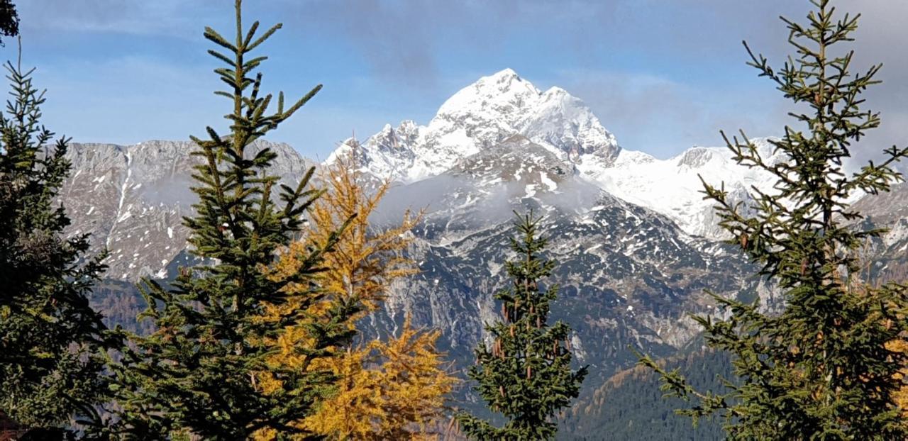 Srednja Vas v Bohinju Mountain Eco Chalet Konjska Dolina On 1400 M Asl -Near Pokljuka מראה חיצוני תמונה